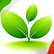 green_italy500.jpg