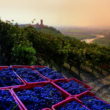 site_1390_0002-500-367-20140623164154.jpg