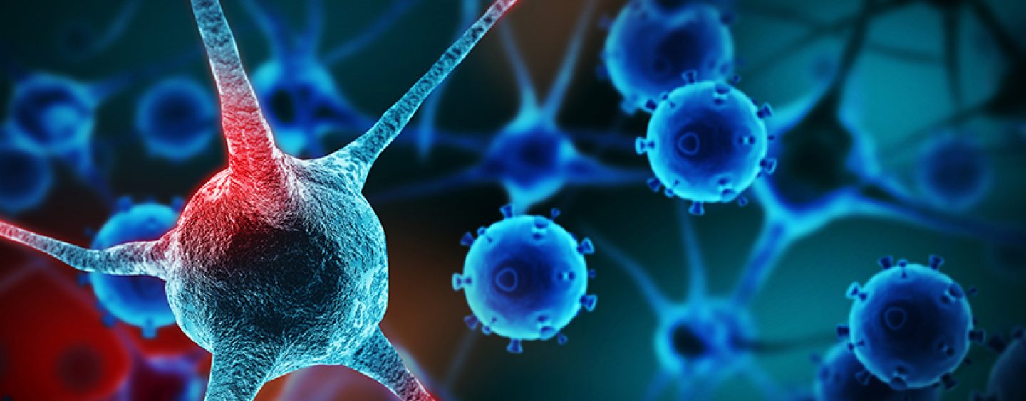 cellule-1440x564_c.jpg