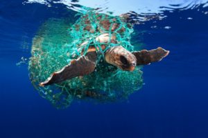 Come salvare i mari dai rifiuti plastici
